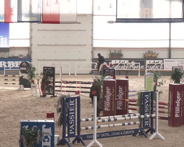 Reitturnier Borken (Hessen) 2025