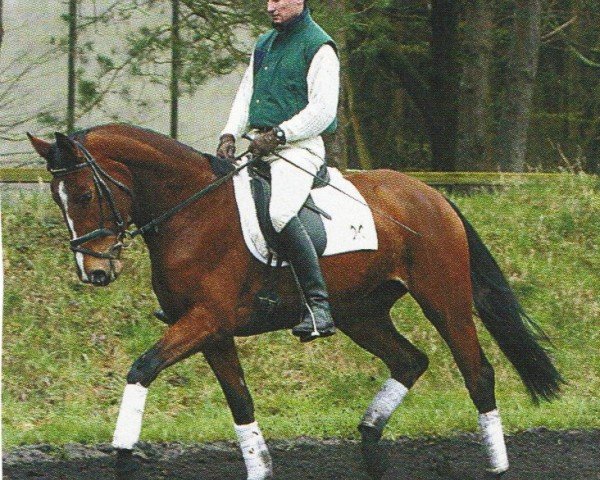 Dressurpferd Maida Mju (Hannoveraner, 2001, von Magnum) Dressurpferd Maida Mju (Hannoveraner, 2001, von Magnum)