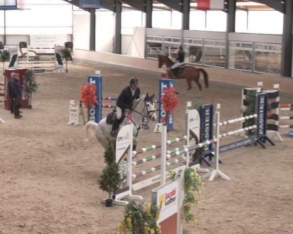 Reitturnier Borken (Hessen) 2025