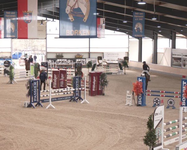 Reitturnier Borken (Hessen) 2025