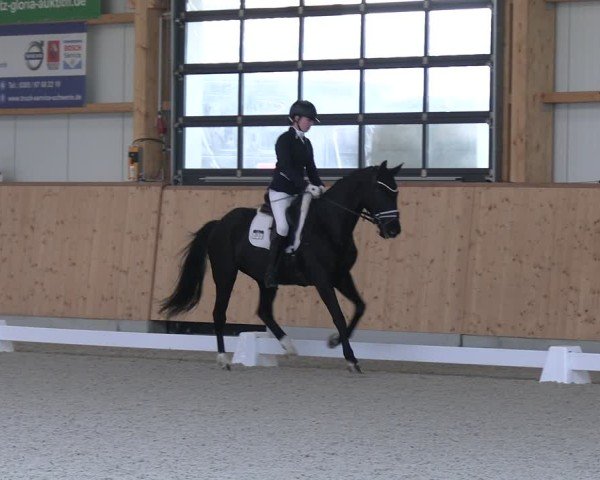 Reitturnier Hohen Wieschendorf 2025