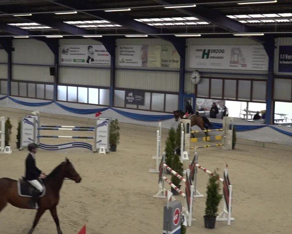 Reitturnier Buchs 2025