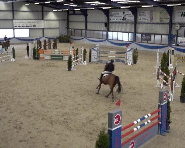 Reitturnier Buchs 2025