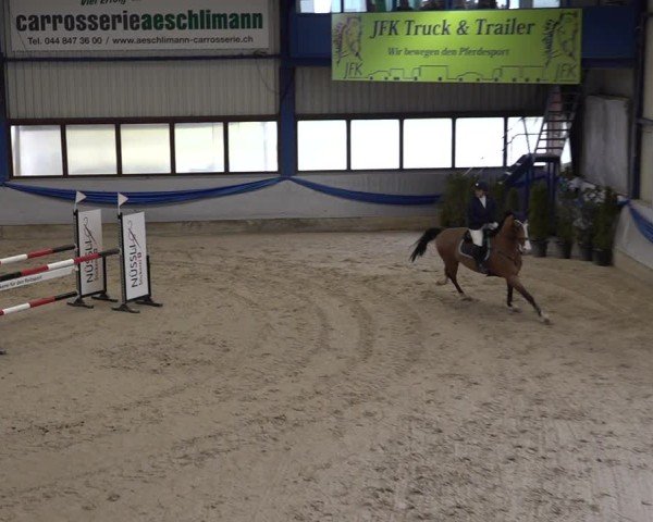 Reitturnier Buchs 2025