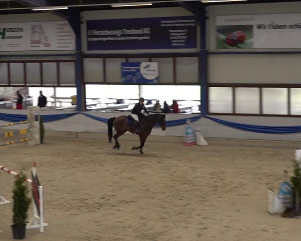 Reitturnier Buchs 2025