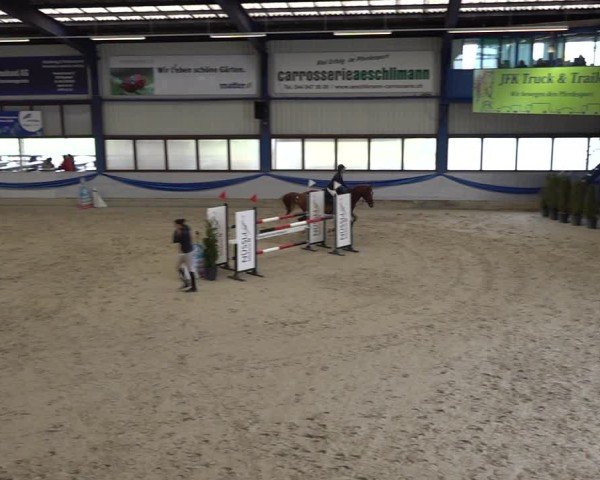 Reitturnier Buchs 2025