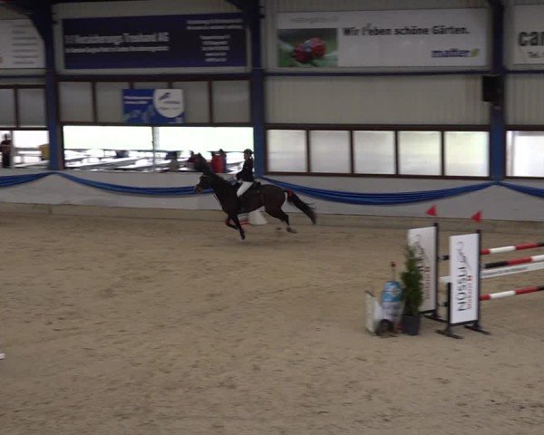 Reitturnier Buchs 2025