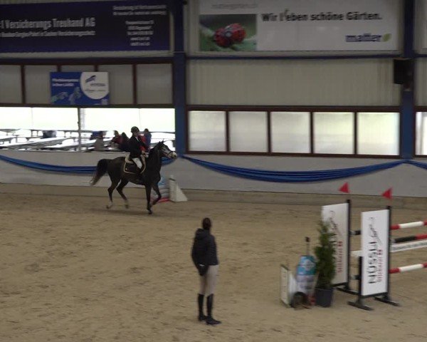Reitturnier Buchs 2025