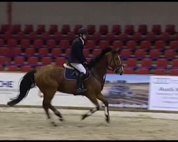 11. Hallen-Championat Vechta 2013
