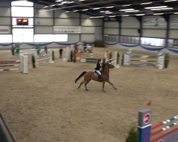 Reitturnier Buchs 2025