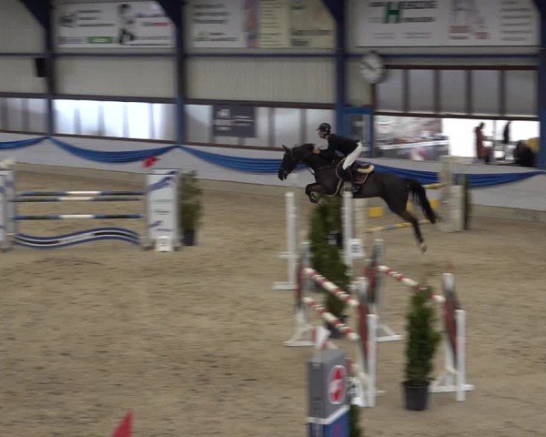 Reitturnier Buchs 2025