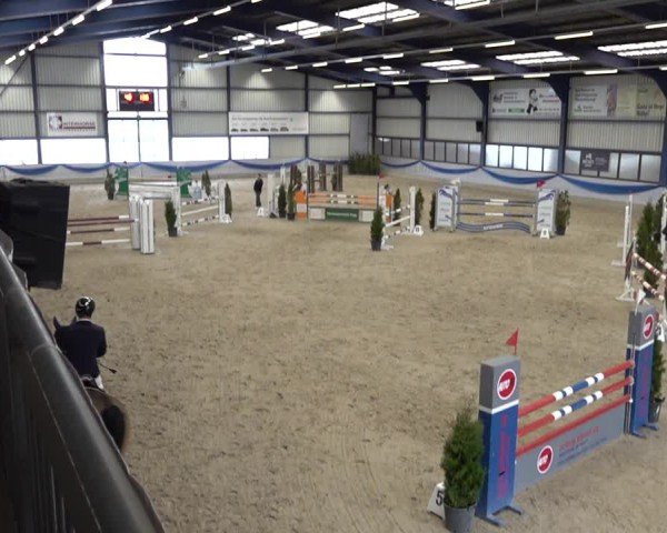 Reitturnier Buchs 2025