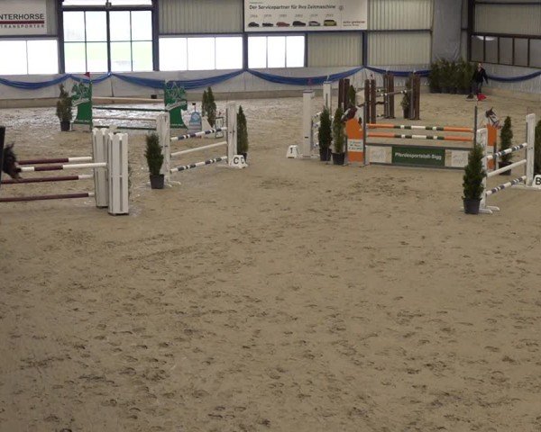Reitturnier Buchs 2025