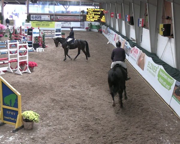 Reitturnier Timmendorf 2025