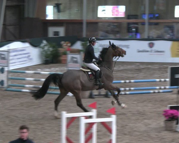 Reitturnier Timmendorf 2025