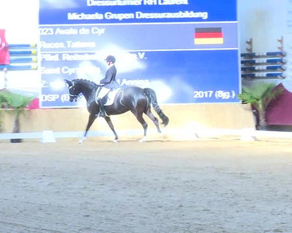 Reitturnier Eicherloh 2025