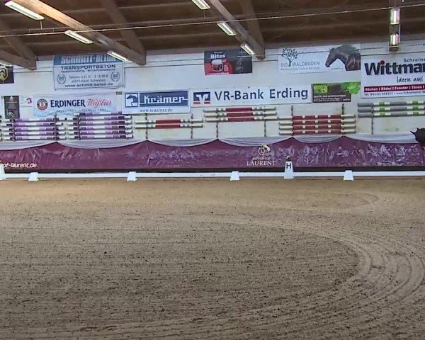 Reitturnier Eicherloh 2025
