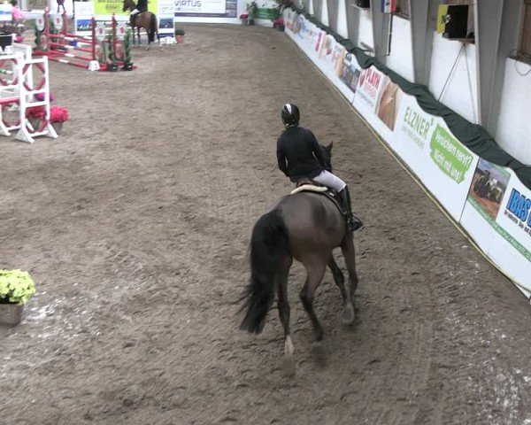 Reitturnier Timmendorf 2025