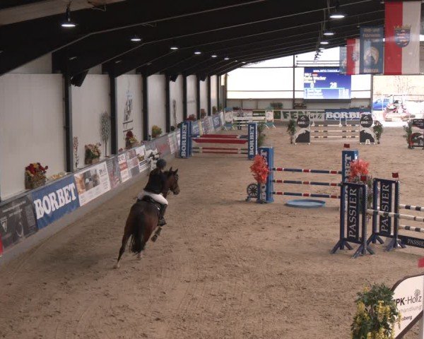 Reitturnier Borken (Hessen) 2025