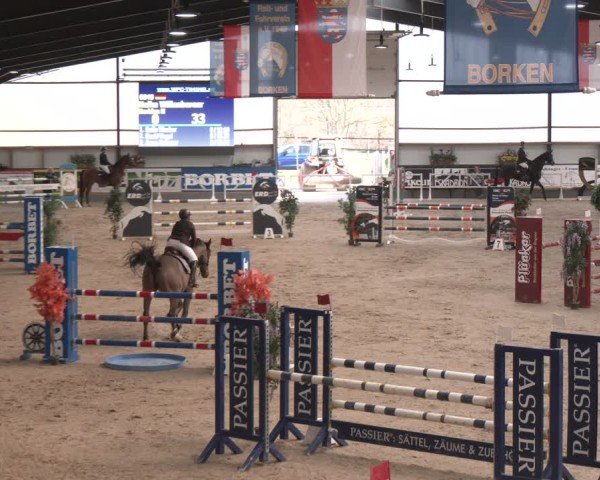 Reitturnier Borken (Hessen) 2025