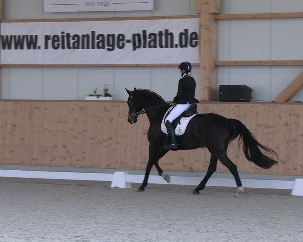 Reitturnier Hohen Wieschendorf 2025