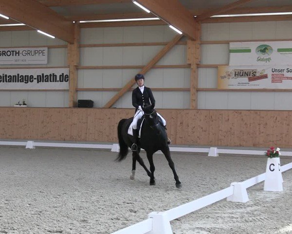 Reitturnier Hohen Wieschendorf 2025