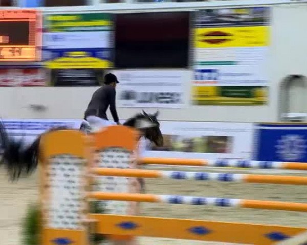 11. Hallen-Championat Vechta 2013