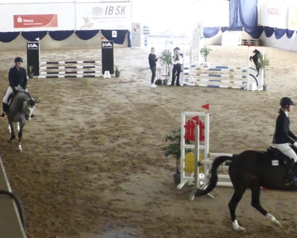 Reitturnier Diez 2025