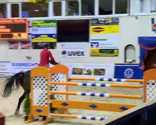 11. Hallen-Championat Vechta 2013