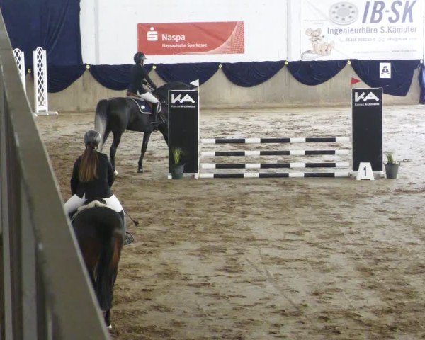 Reitturnier Diez 2025