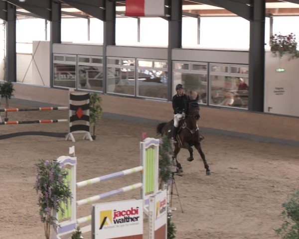 Reitturnier Borken (Hessen) 2025