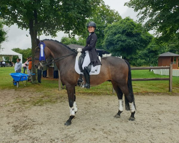 dressage horse Jack Nicholson Equesta (Danish Warmblood, 2012, from Jazz Time)