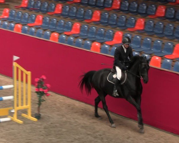 Reitturnier Krumke 2025