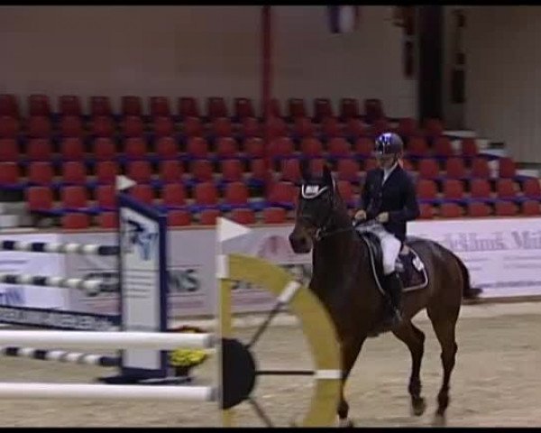 Reitturnier Vechta 2013