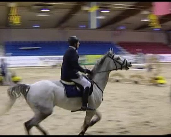 Reitturnier Vechta 2013