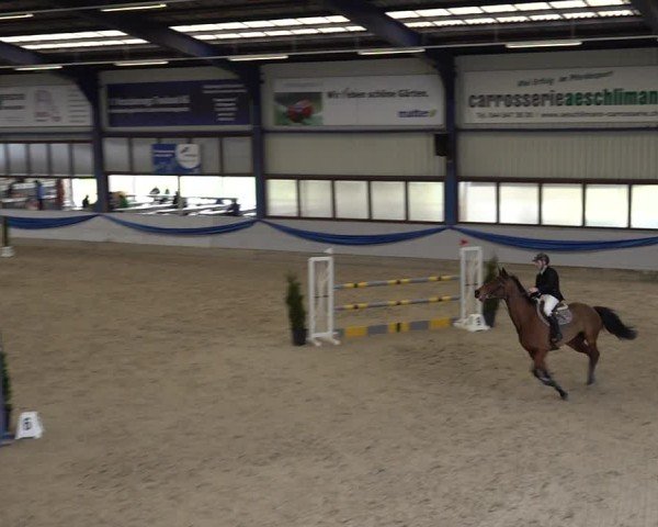 Reitturnier Buchs 2025