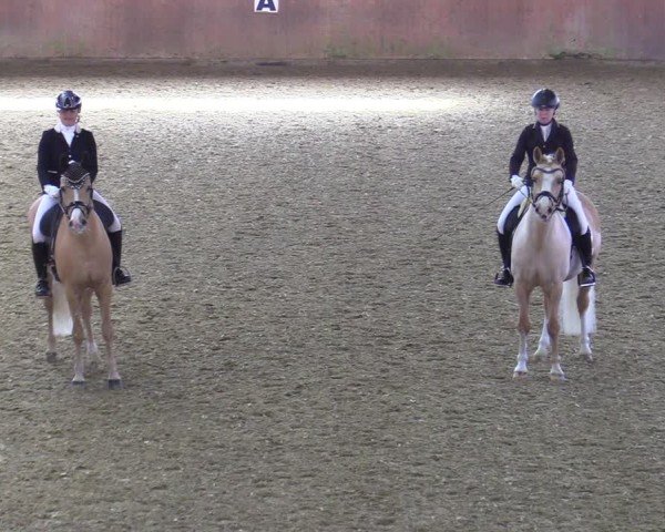 Reitturnier Bad Salzuflen 2025