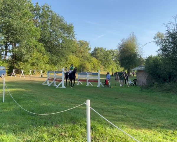 Video von Herakles 28