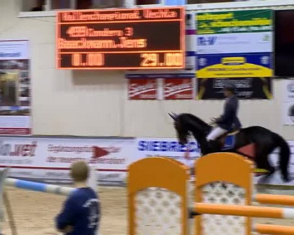 Reitturnier Vechta 2013