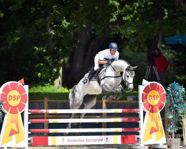 Springpferd Cornet's Rose 4 (Westfale, 2015, von Cornet Obolensky)