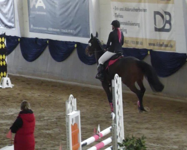 Reitturnier Diez 2025