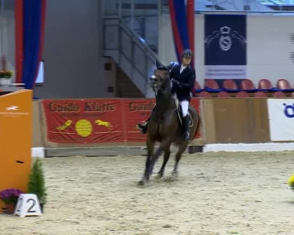 11. Hallen-Championat Vechta 2013