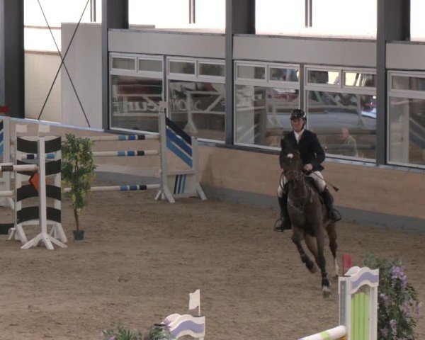 Reitturnier Borken (Hessen) 2025