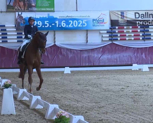 Reitturnier Eicherloh 2025