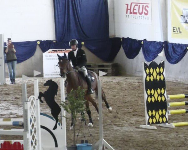 Reitturnier Diez 2025