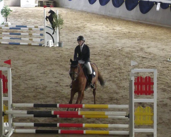 Reitturnier Diez 2025