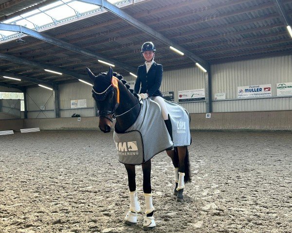 Dressurpferd Found A Dream 3 (Hannoveraner, 2020, von For Final)