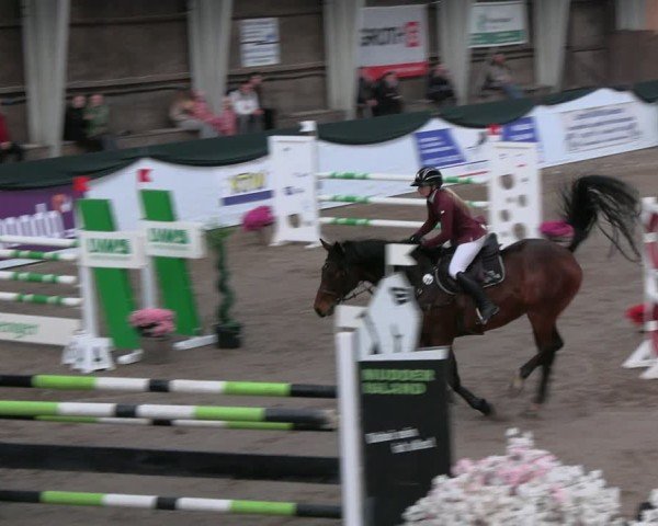 Reitturnier Timmendorf 2025