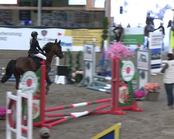 Reitturnier Timmendorf 2025