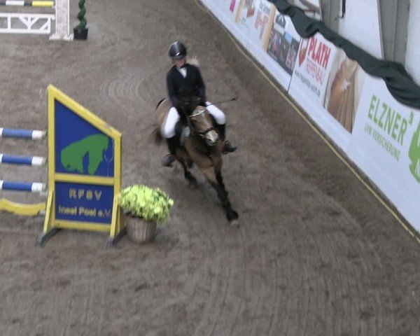 Reitturnier Timmendorf 2025